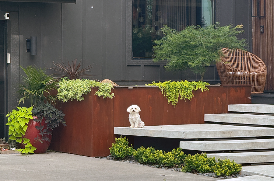 front-patio-with-mr-hanky-sm